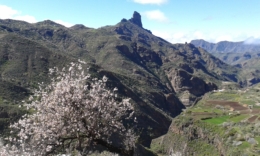 Вид на Роке Бентайга