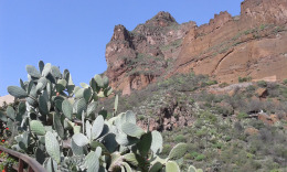 Барранко Гуаядэке