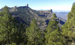 Вид на Роке Нубло и вулкан Тейде остров Тенерифе