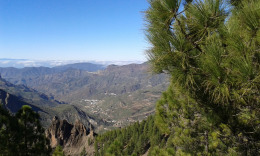 вид на Техеду