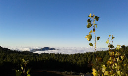 осень и море облаков...