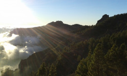 последние лучи уходящего дня...