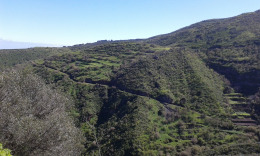 дорога к океану