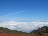 дорога в снежных облаках
