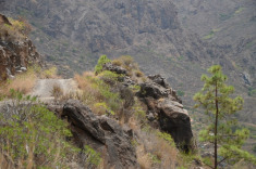 дорга в горах