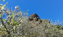 горы и миндаль