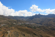 красавица Техеда