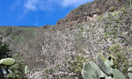 неповторимые канарские горы....