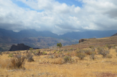 пейзажи меняются