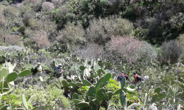 поход в горы барранко Серникало