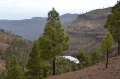 преса, вид с гор