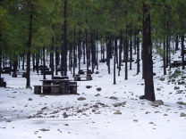 снег в районе Техеда