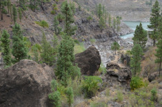 Преса Сория