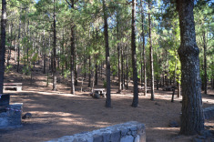 Специально оборудованные места для отдыха