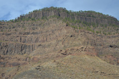 такая прическа у гор...