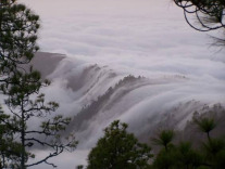 Тамадаба в облаках