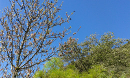 весна в горах