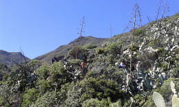 Весна. Барранко Серникало