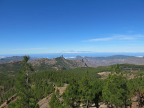 вид на Пико де Лас Ниевес