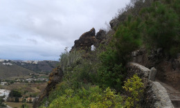 Лас Палмас. Ботанический сад