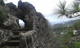 Лас Палмас. Ботанический сад