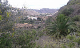 Лас Палмас. Ботанический сад