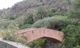 Лас Палмас. Ботанический сад