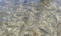 Пляж Лас Кантерас