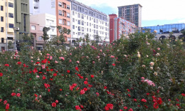 парк возле кастильо де ла Луз