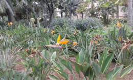 Парк Дорамас