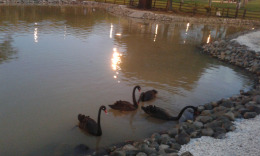 парк Хуан Пабло 2