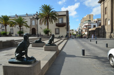 Площадь Святой Анны - знаменитые собаки