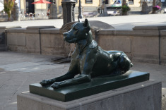 всегда на страже