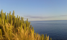 Юг Гран Канарии