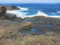 Арукас, атлантика