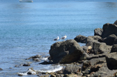 Атлантический океан