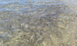 Пляж Лас Кантерас