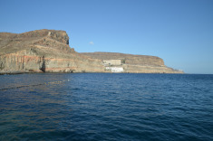 Пуерто Моган