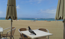 Пляж Лас Кантерас- утро