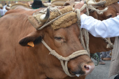 7 сентября. Терор. Праздник Нуестра Сеньора дель Пино