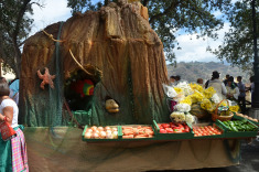 7 сентября. Терор. Праздник Нуестра Сеньора дельПино