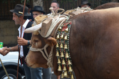 7 сентября. Терор. Праздник Нуестра Сеньора де Пино