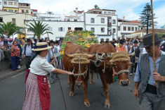 7 сентября. Терор. Праздник Нуестра Сеньора дель Пино