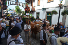 7 сентября. Терор. Праздник Нуестра сеньора дель Пино