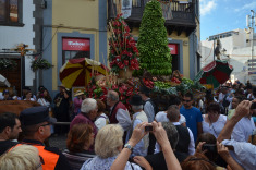 7 сентября. Терор. Праздник Нуестра сеньора дель Пино