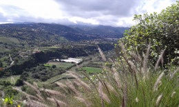 зеленый север Гран Канарии