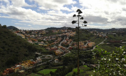 зеленый север Гран Канарии