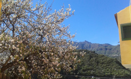 Вальсекийо