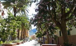 Вальсекийо