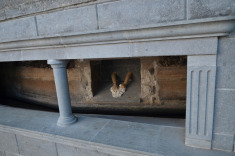 Фиргас, когда-то на этом месте стирали белье все жители